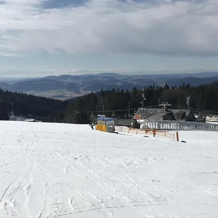 Sestka