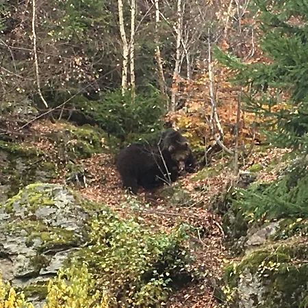 アパート Sestka *