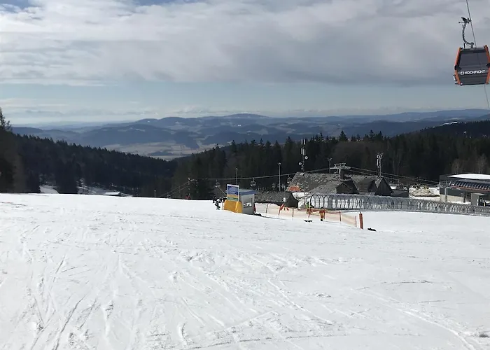 Sestka